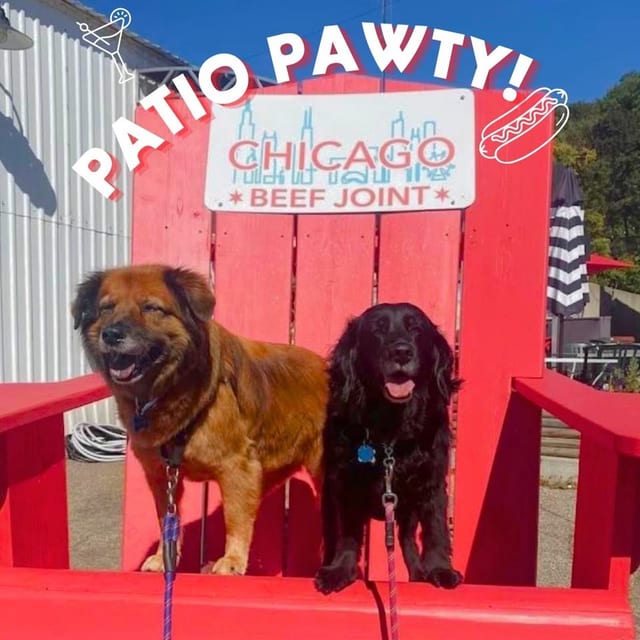 7/22 | VETR Health Patio Pawty